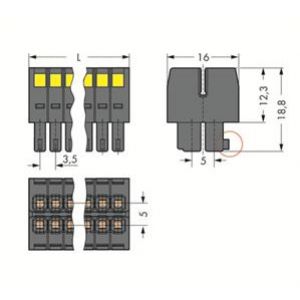 MCS-MINI Classic gniazdo 11 x 2-biegunowe raster 3,5 mm (713-1111)