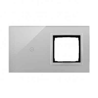 Simon 54 Touch Panel dotykowy S54 Touch 2 moduły 1 pole dotykowe + 1 otwór na osprzęt S54 srebrna mgła DSTR210/71 (DSTR210/71)