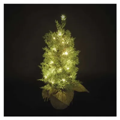 Ozdoba świąteczna choinka 30 LED 50 cm ciepła biel IP44 timer EMOS (DCTW31)