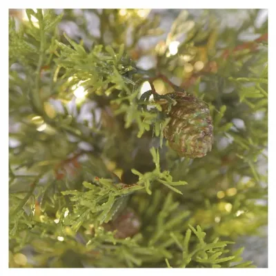 Ozdoba świąteczna choinka 30 LED 50 cm ciepła biel IP44 timer EMOS (DCTW31)