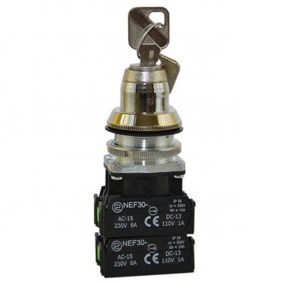 Przycisk NEF30-TZbM2XY (W0-NEF30-TZBM 2XY)