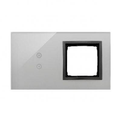Simon 54 Touch Panel dotykowy S54 Touch 2 moduły 2 pola dotykowe pionowe + 1 otwór na osprzęt S54 burzowa chmura DSTR230/72 (DSTR230/72)