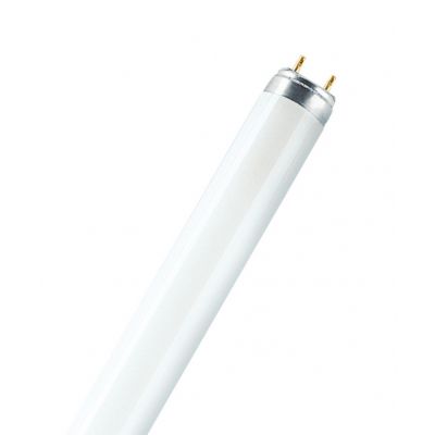 L 30W/77 FLH1 OSRAM LEDVANCE (4050300003238)