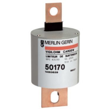 Vigilohm Wkładka do ogranicznika przepięć typ C660V 50172 SCHNEIDER (50172)