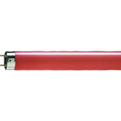 TL-D Colored 36W Red 1SL/25 (928048501505)