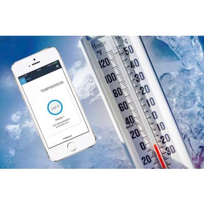 Czujnik temperatury tempSensor WiFi wBox v2 BleBox (tempSensor)