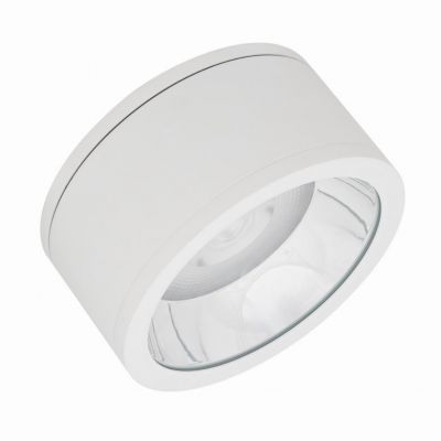Oprawa DOWNLIGHT SURFACE DN 250 P 45W 830 60D IP65 WT LEDVANCE (4058075769298)