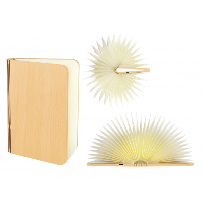 Lampka stołowa LED ALBUM KSIĄŻKA 1,6W ciepła/zimna biel 04633 IDEUS (04633)