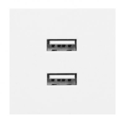 NOEN USB x 2, podwójny port modułowy 45x45mm z ładowarką USB, 2,1A 5V DC, biały ORNO (OR-GM-9010/W/USBX2)