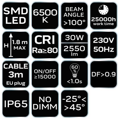 Halogen Naświetlacz LED 30W SMD 2700lm + statyw budowlany GTX (99-059)