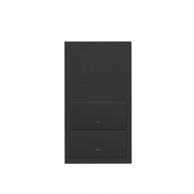 Simon 100 Panel 2-krotny: 2 klawisze czarny mat 10020213-238 KONTAKT (10020213-238)