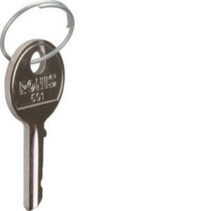 Klucze zapasowe do łącznika kluczykowego SK606 SK001 HAGER (SK001)