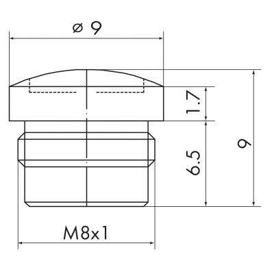 Zaślepka M8 756-8101 /10szt./ WAGO (756-8101)