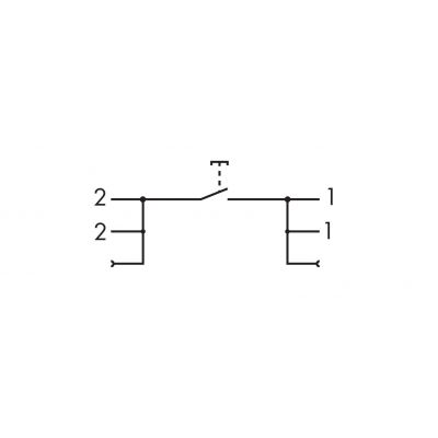 TASTER, 1-POL, 16A/250VAC (789-803)