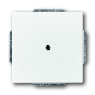 CARAT/FUTURE/SOLO/AXCENT  Pokrywa maskująca z pierścieniem nośnym  biały studyjny (2CKA001710A3991)