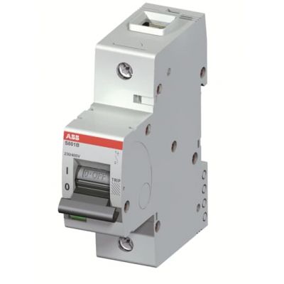 S801B-D63 Wyłącznik nadprądowy 16kA 1P D63A 2CCS811001R0631 ABB (2CCS811001R0631)