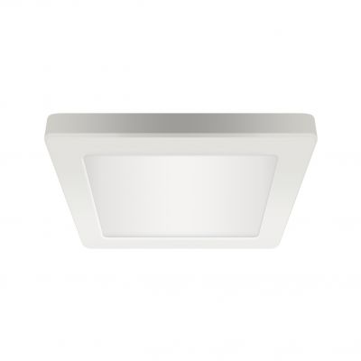 Oprawa sufitowa SMD LED OLGA LED D 12W WHITE CCT (04061)