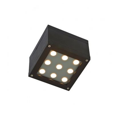 BERENIQUE 9LED CREE 15st 230V 9W IP44 WW  SLI030002WW Spectrum Led (SLI030002WW)