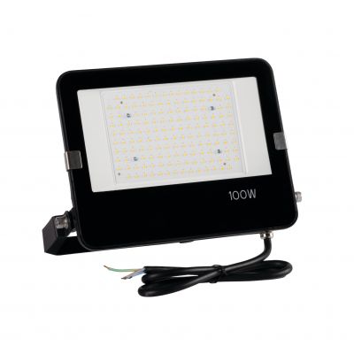 FL AGOR PRO 100W NW (38420)