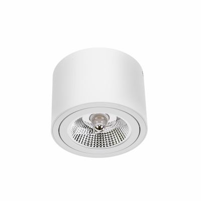 Oprawa natynkowa CHLOE AR111 GU10 250V IP20 139x100mm biały okrągła ruchoma  SLIP005012 Spectrum Led (SLIP005012)