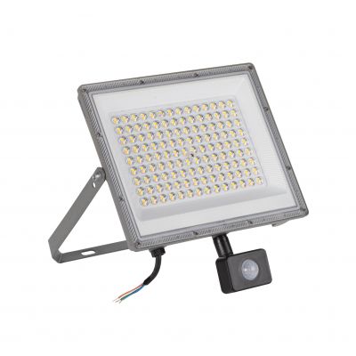 Naświetlacz LED z czujnikiem ruchu ACETE 100W CCT SE GR IP44 szary zmienna barwa świecenia 38499 KANLUX (38499)