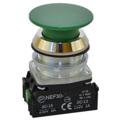 Przycisk NEF30-D2X/W3 zielony (W0-NEF30-D 2X/W3 Z)