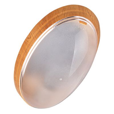 Plafoniera FLUE WALL FIXTURE MAPLE IDEUS (02027)