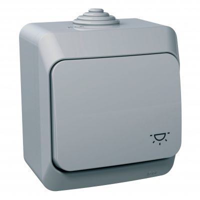 Cedar Plus przycisk ;światło; IP44 szary WDE000613 SCHNEIDER (WDE000613)