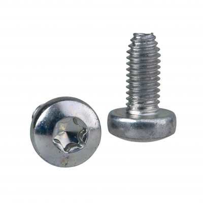Wkręt Torx T30 M6x14 samogwintujący NSYST30M6S SCHNEIDER (NSYST30M6S)