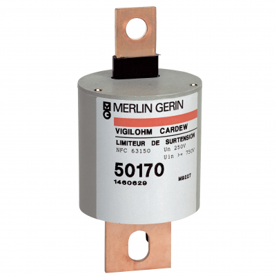 Vigilohm Wkładka do ogranicznika przepięć typ C440V 50171 SCHNEIDER (50171)