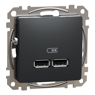 Sedna Design & Elements ładowarka USB Typ A +A 2,4A czarny antracyt SDD114401 SCHNEIDER (SDD114401)