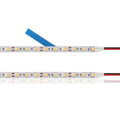 Taśma LED Professional 60SMD2835/m IP65 8mm x 5m zimna 12V 4,8W/m LS113 LUMAX (LS113)