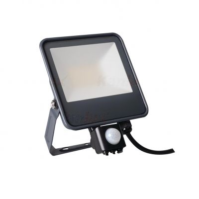 Projektor LED z czujnikiem ruchu PIR IQ-LED FL-30W-NW-SE 3450lm 4000K barwa neutralna IP44 czarny 33887 KANLUX (33887)