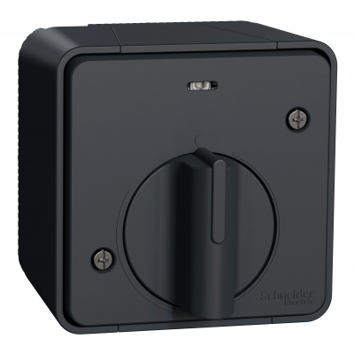 Mureva łącznik natynkowy IP55 czasowy antracytowy MUR35067 SCHNEIDER (MUR35067)