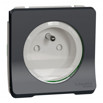 Mureva mechanizm IP55 gniazda antracytowy MUR38030 SCHNEIDER (MUR38030)