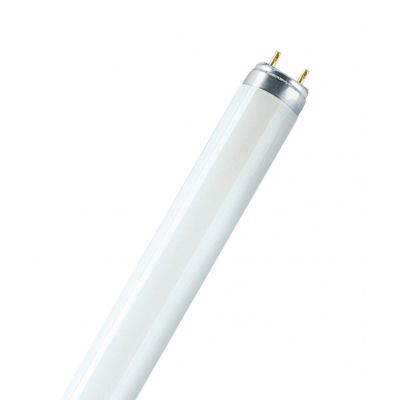 L 36W/77 FLH1 OSRAM LEDVANCE (4050300003184)