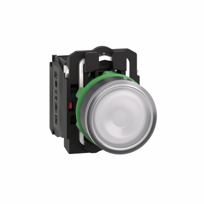 Harmony XB5 Przycisk płaski biały LED 24V XB5AW31B5 SCHNEIDER (XB5AW31B5)