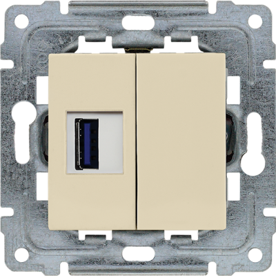 DANTE Gniazdo multimedialne USB, bez ramki krem (450351)
