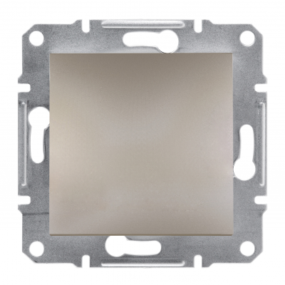 Asfora zaślepka bez ramki brąz EPH5600169 SCHNEIDER (EPH5600169)