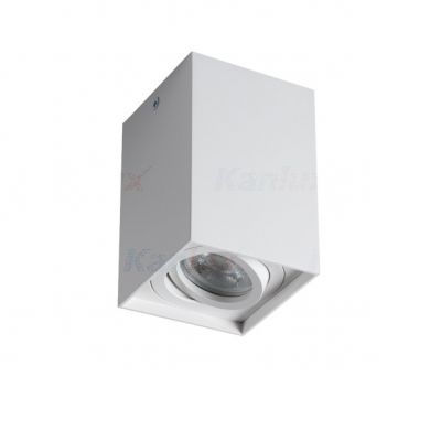 GORD XS DLP-50-W Oprawa sufitowa natynkowa GORD XS DLP-50-W regulowana kolor biały 1XGU10 KANLUX (25477)