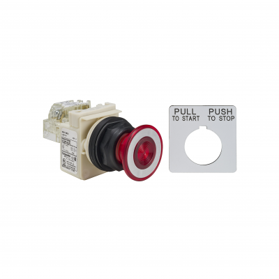 30MM PRZYCISK 9001SKR9P1RH13 SCHNEIDER (9001SKR9P1RH13)