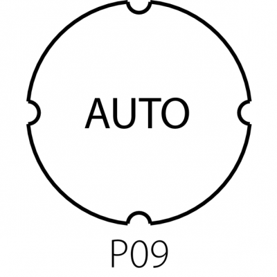 WKŁADKA AUTO (ST22-7202P09)