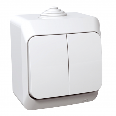 Cedar Plus łącznik natynkowy podwójny świecznikowy IP44 biały WDE000550 SCHNEIDER (WDE000550)