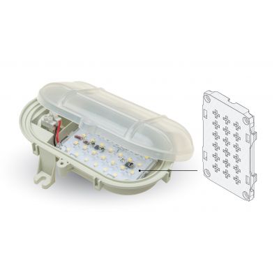 Oprawa owal led slim,b. neutralny 5W D.3165-BN-5W PAWBOL (D.3165-BN-5W)