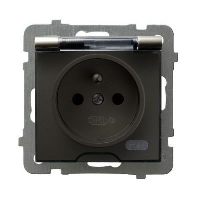 AS Gniazdo bryzgoszczelne z uziemieniem IP44 klapka przezroczysta kolor satyna light GPH-1GZ/m/45/d OSPEL (GPH-1GZ/m/45/d)
