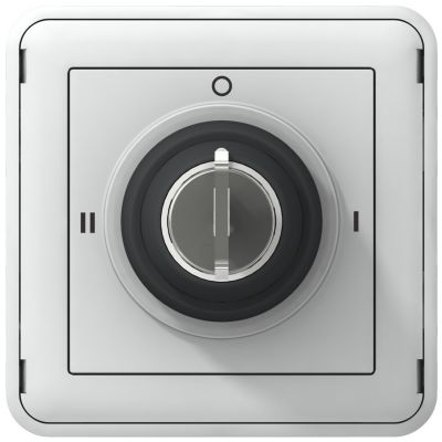 Plexo55 Łącznik Z Kluczem 3 Pozycje Szary 3A-250V 069535 LEGRAND (069535)