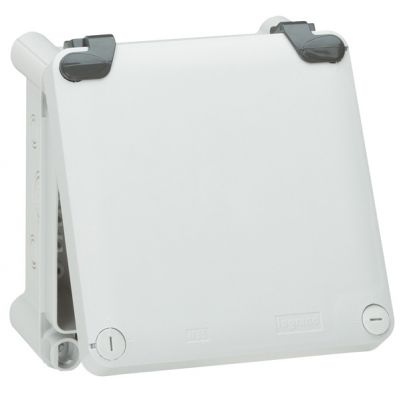 Zawiasy Dla Obudowy 270x170Mm Plexo55 035800 LEGRAND (035800)