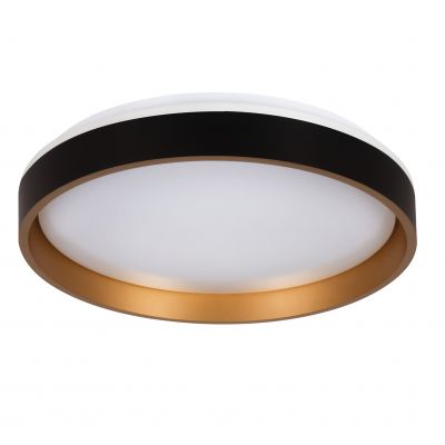 SOLN LED CCTDIM B/G (39111)