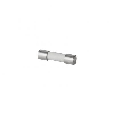 G 20/2.50A/F Wkładka cylindryczna miniaturowa, nr.katalogowy 0431000000 /10szt./ WEIDMÜLLER (0431000000)
