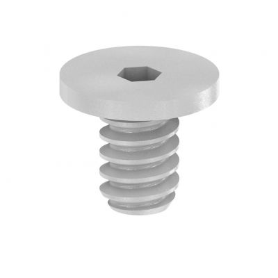 WEIDMULLER FKSC M4X6 D8/SW2 Śruba mocująca (terminal), 0.00 M4.0, Głębokość: 7 mm 1567480000 /100szt./ (1567480000)